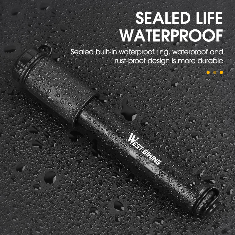 WEST BIKING Mini Bike Pump 100 - Bike Pump Frame Mount 评论和价格
